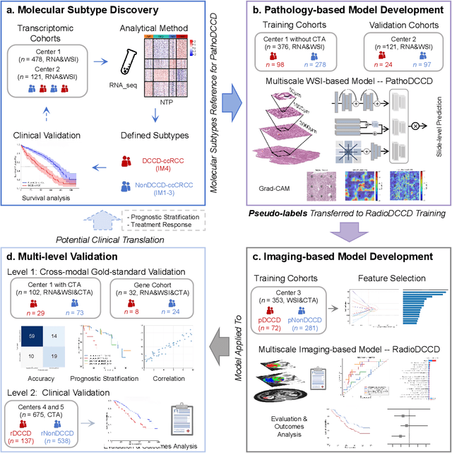 Figure 1 for Multiscale Cross-Modal Mapping of Molecular, Pathologic, and Radiologic Phenotypes in Lipid-Deficient Clear Cell Renal CellCarcinoma