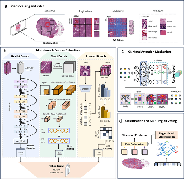Figure 4 for Multiscale Cross-Modal Mapping of Molecular, Pathologic, and Radiologic Phenotypes in Lipid-Deficient Clear Cell Renal CellCarcinoma