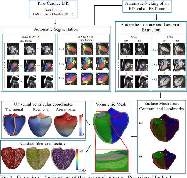 Figure 1 for Cardiac Digital Twins at Scale from MRI: Open Tools and Representative Models from ~55000 UK Biobank Participants