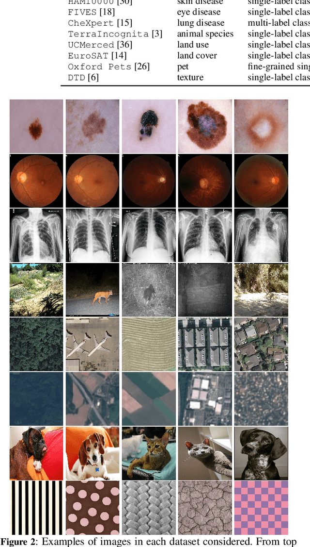 Figure 3 for Visual RAG: Expanding MLLM visual knowledge without fine-tuning