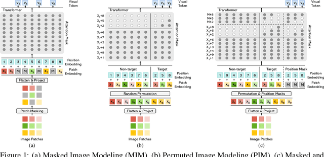 Figure 1 for Learning to Mask and Permute Visual Tokens for Vision Transformer Pre-Training