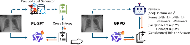 Figure 1 for MedFact-R1: Towards Factual Medical Reasoning via Pseudo-Label Augmentation