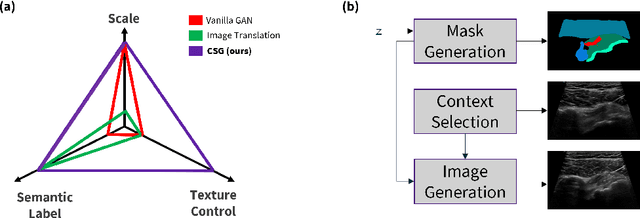 Figure 1 for CSG: A Context-Semantic Guided Diffusion Approach in De Novo Musculoskeletal Ultrasound Image Generation