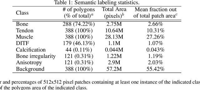 Figure 2 for CSG: A Context-Semantic Guided Diffusion Approach in De Novo Musculoskeletal Ultrasound Image Generation