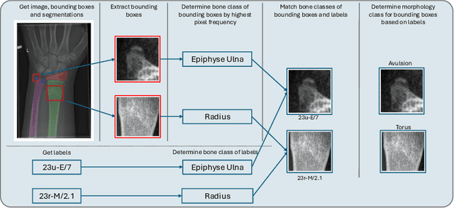 Figure 1 for Fracture Morphology Classification: Local Multiclass Modeling for Multilabel Complexity