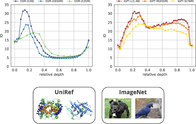 Figure 1 for The geometry of hidden representations of large transformer models