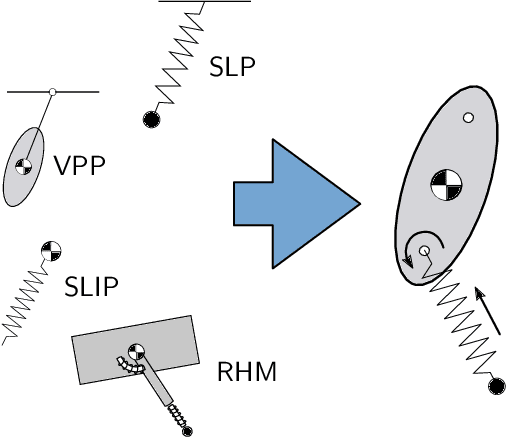 Figure 1 for ULT-model: Towards a one-legged unified locomotion template model for forward hopping with an upright trunk