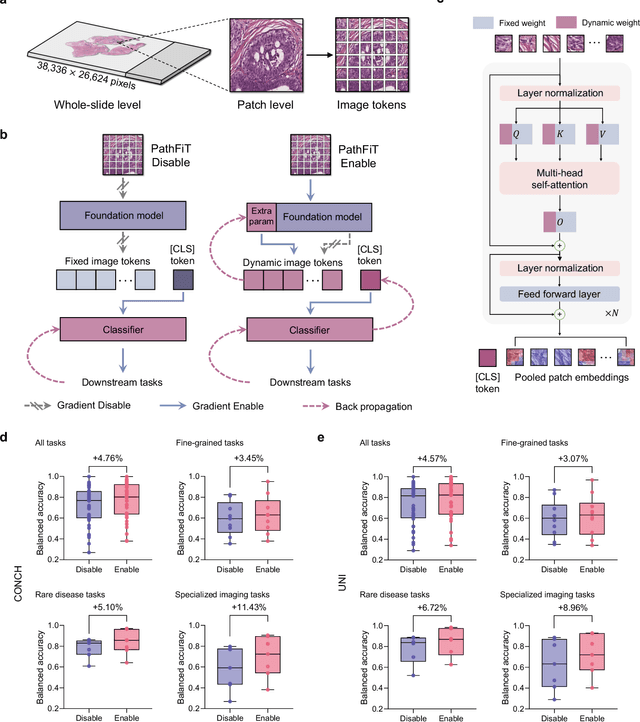 Figure 1 for Unlocking adaptive digital pathology through dynamic feature learning