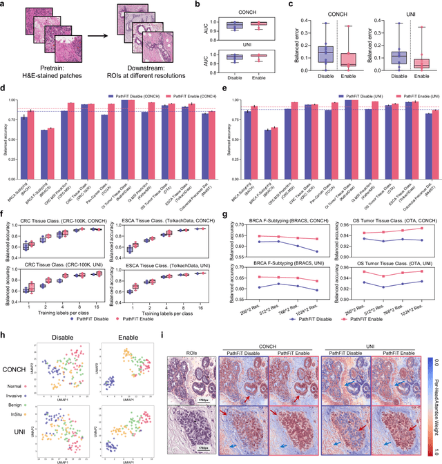 Figure 2 for Unlocking adaptive digital pathology through dynamic feature learning