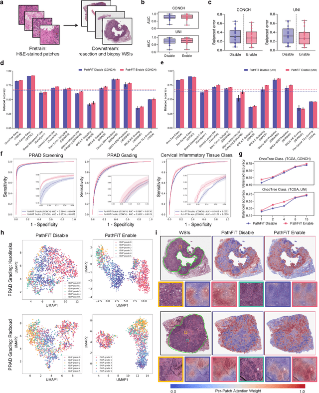 Figure 4 for Unlocking adaptive digital pathology through dynamic feature learning