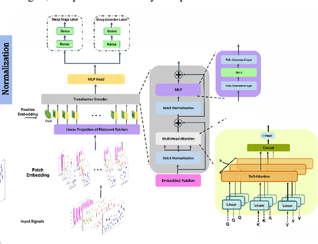 Figure 2 for Multimodal Sleep Stage and Sleep Apnea Classification Using Vision Transformer: A Multitask Explainable Learning Approach