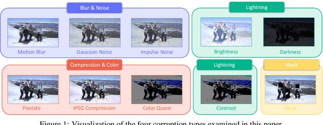 Figure 1 for PoseBench: Benchmarking the Robustness of Pose Estimation Models under Corruptions
