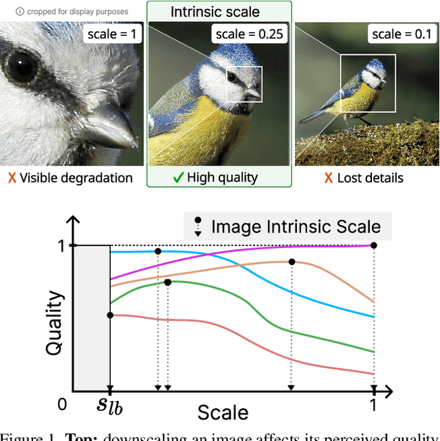 Figure 1 for Image Intrinsic Scale Assessment: Bridging the Gap Between Quality and Resolution