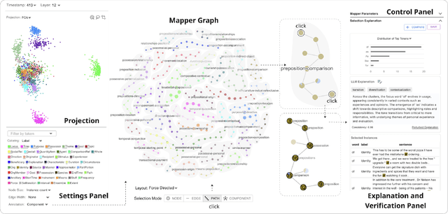 Figure 3 for Explainable Mapper: Charting LLM Embedding Spaces Using Perturbation-Based Explanation and Verification Agents
