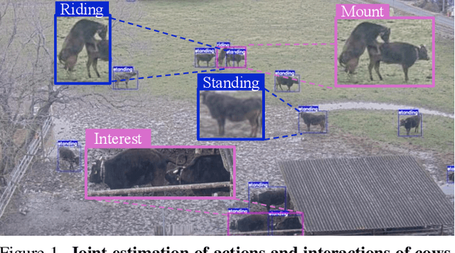 Figure 1 for Interaction-via-Actions: Cattle Interaction Detection with Joint Learning of Action-Interaction Latent Space