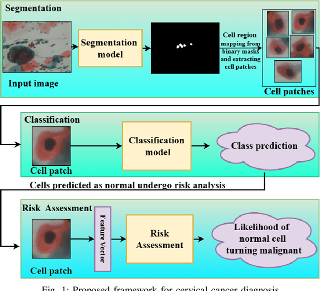 Figure 1 for Deep Learning Enabled Segmentation, Classification and Risk Assessment of Cervical Cancer