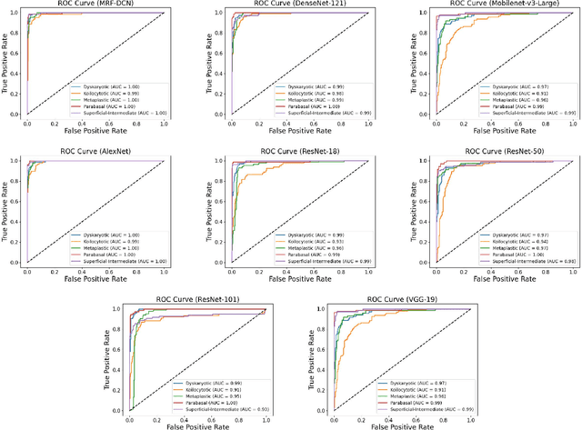 Figure 2 for Deep Learning Enabled Segmentation, Classification and Risk Assessment of Cervical Cancer