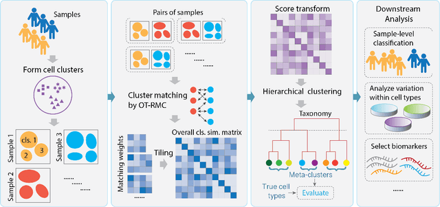 Figure 1 for Constructing Cell-type Taxonomy by Optimal Transport with Relaxed Marginal Constraints