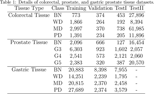 Figure 2 for DIOR-ViT: Differential Ordinal Learning Vision Transformer for Cancer Classification in Pathology Images