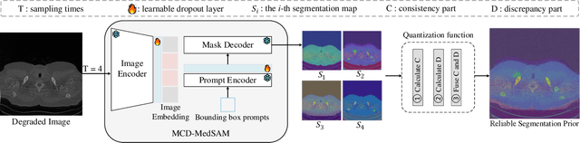 Figure 3 for Efficient Medical Image Restoration via Reliability Guided Learning in Frequency Domain