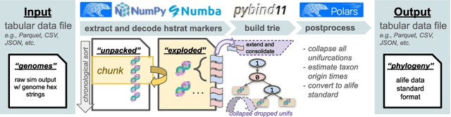 Figure 3 for A Scalable Trie Building Algorithm for High-Throughput Phyloanalysis of Wafer-Scale Digital Evolution Experiments