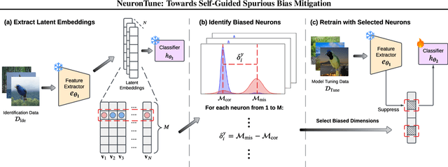 Figure 1 for NeuronTune: Towards Self-Guided Spurious Bias Mitigation