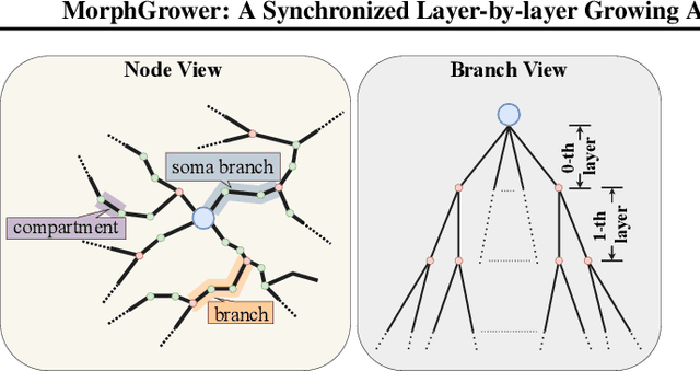 Figure 1 for A Synchronized Layer-by-layer Growing Approach for Plausible Neuronal Morphology Generation