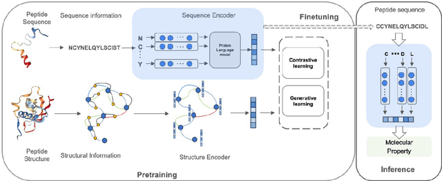 Figure 1 for PepHarmony: A Multi-View Contrastive Learning Framework for Integrated Sequence and Structure-Based Peptide Encoding