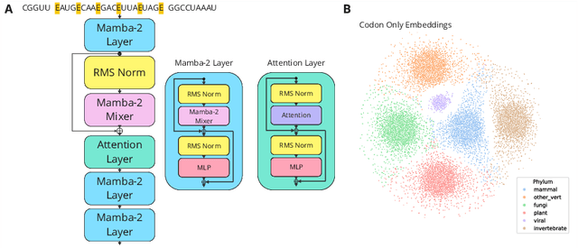 Figure 1 for Helix-mRNA: A Hybrid Foundation Model For Full Sequence mRNA Therapeutics