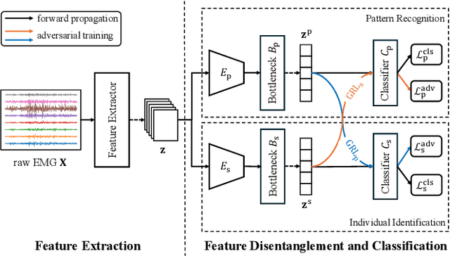 Figure 1 for Towards Cross-Subject EMG Pattern Recognition via Dual-Branch Adversarial Feature Disentanglement