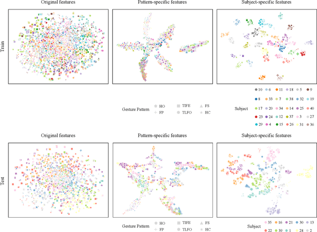 Figure 2 for Towards Cross-Subject EMG Pattern Recognition via Dual-Branch Adversarial Feature Disentanglement