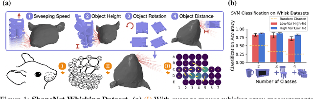Figure 1 for Task-Optimized Convolutional Recurrent Networks Align with Tactile Processing in the Rodent Brain