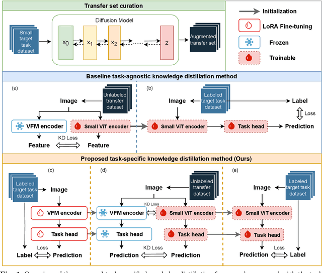 Figure 1 for Task-Specific Knowledge Distillation from the Vision Foundation Model for Enhanced Medical Image Segmentation
