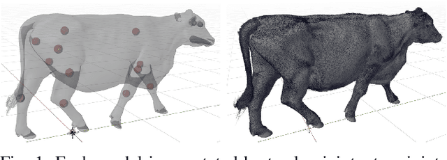 Figure 1 for Sim2real Cattle Joint Estimation in 3D point clouds