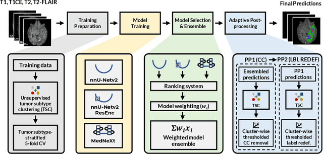 Figure 1 for Adaptable Segmentation Pipeline for Diverse Brain Tumors with Radiomic-guided Subtyping and Lesion-Wise Model Ensemble