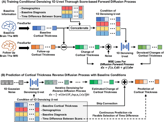 Figure 1 for Conditional Score-Based Diffusion Model for Cortical Thickness Trajectory Prediction