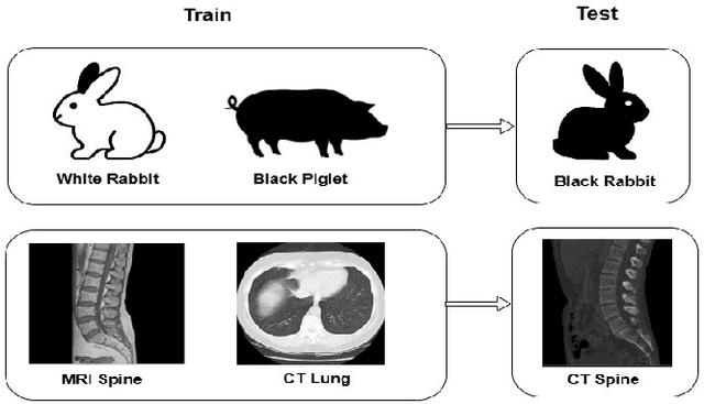Figure 2 for CrossMed: A Multimodal Cross-Task Benchmark for Compositional Generalization in Medical Imaging