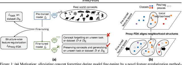 Figure 1 for Proxy-FDA: Proxy-based Feature Distribution Alignment for Fine-tuning Vision Foundation Models without Forgetting