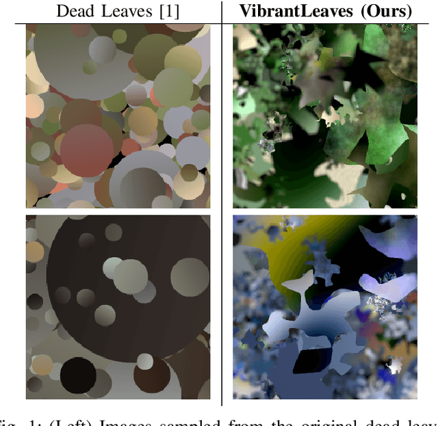 Figure 1 for VibrantLeaves: A principled parametric image generator for training deep restoration models