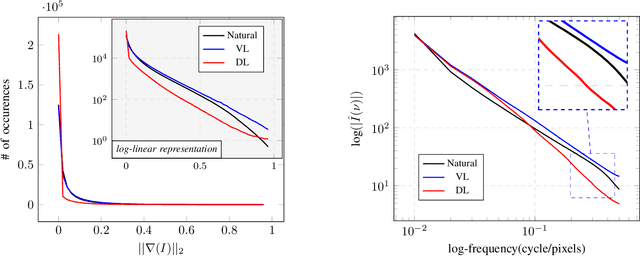 Figure 3 for VibrantLeaves: A principled parametric image generator for training deep restoration models