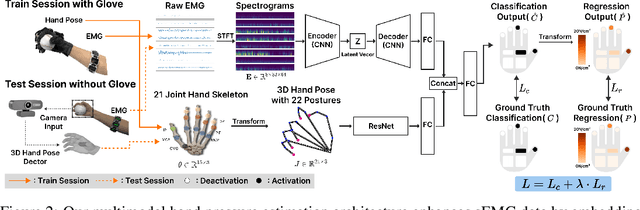 Figure 3 for Posture-Informed Muscular Force Learning for Robust Hand Pressure Estimation