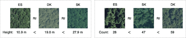 Figure 3 for Get Your Embedding Space in Order: Domain-Adaptive Regression for Forest Monitoring