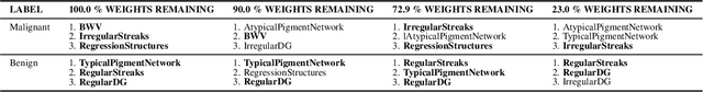 Figure 4 for Exploring the Lottery Ticket Hypothesis with Explainability Methods: Insights into Sparse Network Performance
