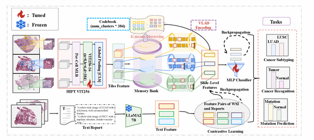 Figure 3 for Dynamic Residual Encoding with Slide-Level Contrastive Learning for End-to-End Whole Slide Image Representation