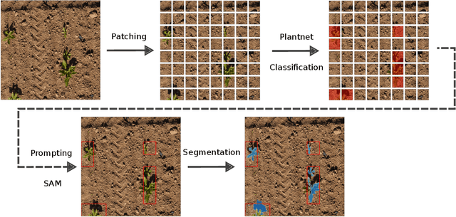 Figure 1 for Unlocking Zero-Shot Plant Segmentation with Pl@ntNet Intelligence