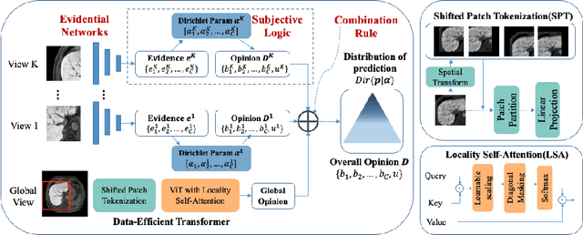 Figure 3 for A Reliable and Interpretable Framework of Multi-view Learning for Liver Fibrosis Staging