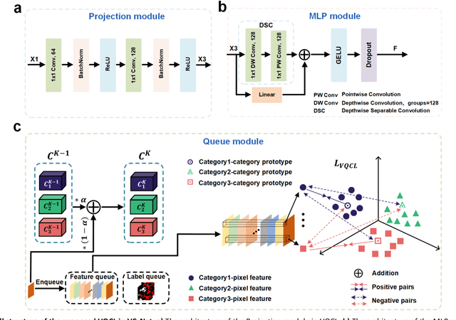 Figure 2 for Label-free Prediction of Vascular Connectivity in Perfused Microvascular Networks in vitro