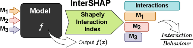 Figure 1 for Measuring Cross-Modal Interactions in Multimodal Models