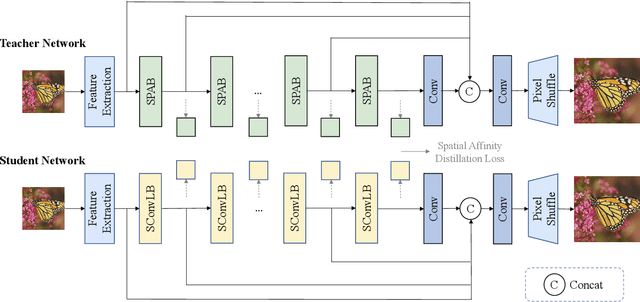 Figure 3 for Distillation-Supervised Convolutional Low-Rank Adaptation for Efficient Image Super-Resolution