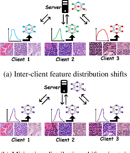 Figure 1 for FedSDA: Federated Stain Distribution Alignment for Non-IID Histopathological Image Classification
